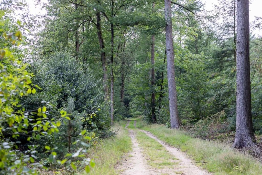 Leva - Logeren In Drenthe Villa Doldersum Eksteriør billede