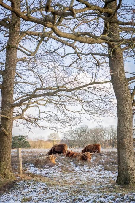 Leva - Logeren In Drenthe Villa Doldersum Eksteriør billede