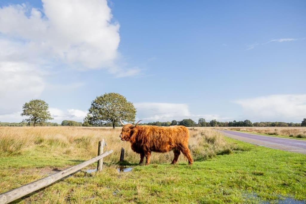 Leva - Logeren In Drenthe Villa Doldersum Eksteriør billede